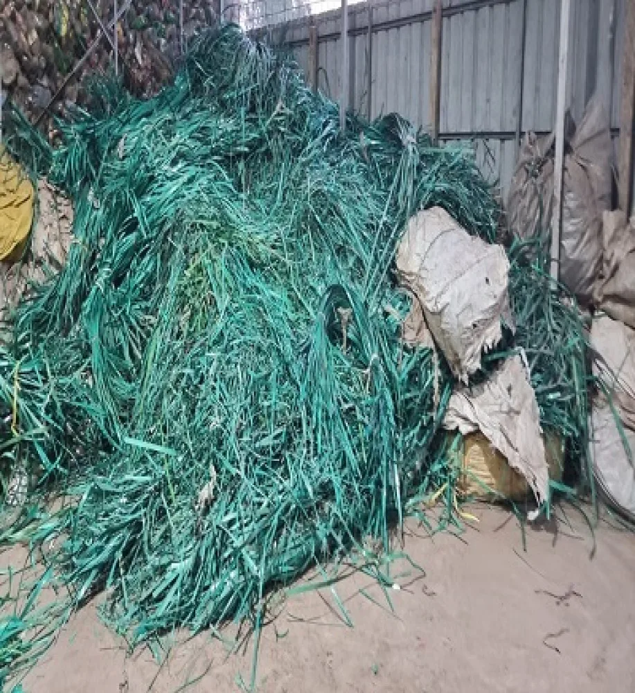Plastic Crashed Scrap