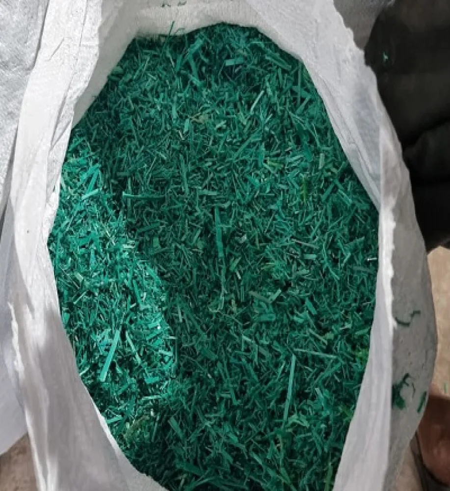 Plastic Crashed Scrap
